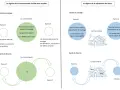 Comparaison des régimes matrimoniaux : communauté réduite aux acquêts et séparation de biens. La jouissance divise des biens est illustrée après le divorce.