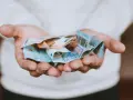 Mains tenant des billets en euros froissés, évoquant une transaction financière, peut-être une donation déguisée ou un viager.
