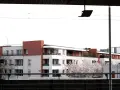 Immeubles modernes avec balcons fleuris, évoquant un **logement décent loi 1989**. Un cerisier en fleurs ajoute une touche printanière.