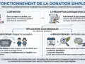 Schéma expliquant la donation simple. Il détaille la définition, la présomption juridique, les règles civiles (rapport à succession) et fiscales. Un rapport donation somme d'argent est nécessaire.