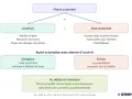 Schéma expliquant la donation simple avec usufruit : la pleine propriété se divise en usufruit (pour le donateur) et nue-propriété (pour l'enfant).