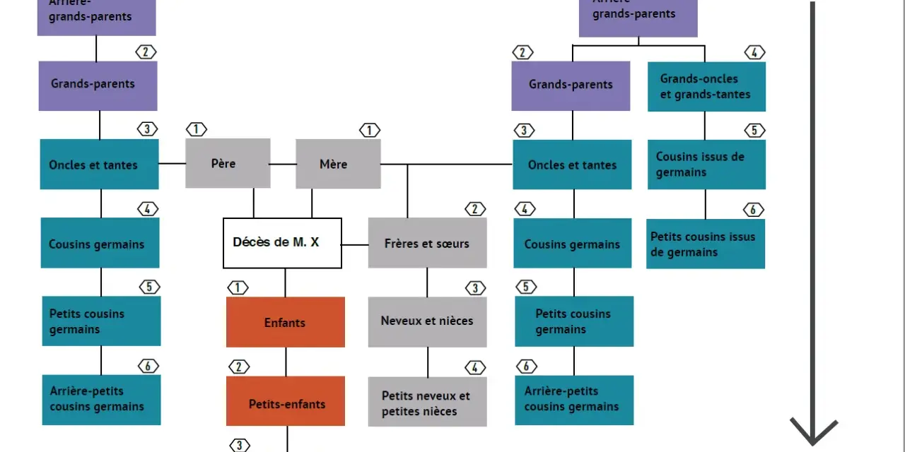 Arbre généalogique illustrant la dévolution légale d'une succession. Il montre les différents ordres d'héritiers, des descendants aux collatéraux, pour contester une succession.