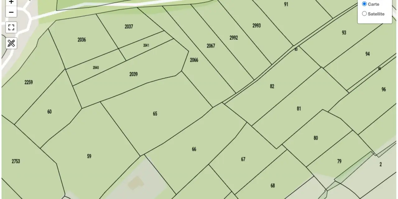 Plan cadastral de Ploërmel montrant des parcelles numérotées comme 2036, 2037, 2039, 2040, 2041, 2066, 2067, 2259, 60, 59, 65, 66, 67, 68, 80, 81, 82, 91, 93, 94, 96, 2753, 2992, 2993, 2 et 37.