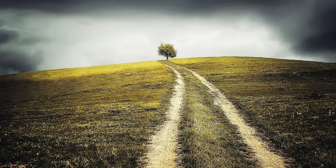 Chemin solitaire vers un arbre isolé sous un ciel orageux. Ce paysage évoque la perte d'un projet, comme un terrain devenu non constructible, et l'attente d'une indemnisation.