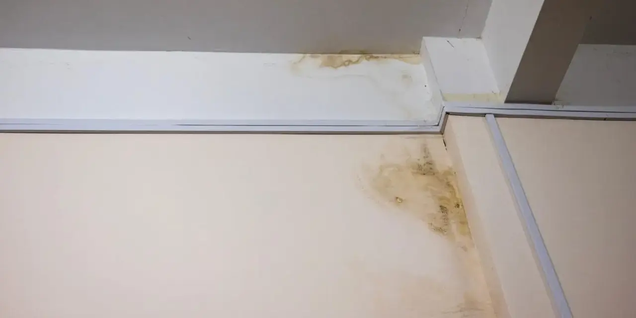 Taches d'humidité sur le mur et le plafond, signe d'un vice caché dans la maison. Le délai pour agir est crucial.