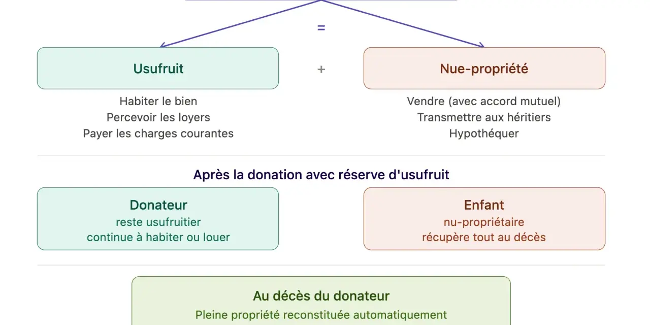 Schéma expliquant la donation simple avec usufruit : la pleine propriété se divise en usufruit (pour le donateur) et nue-propriété (pour l'enfant).