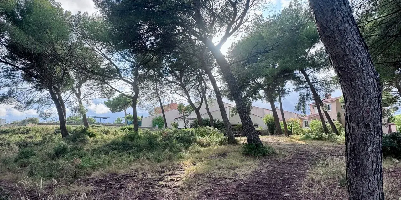 Sentier boisé menant à des maisons, un aperçu de l'urbanisme à Martigues.