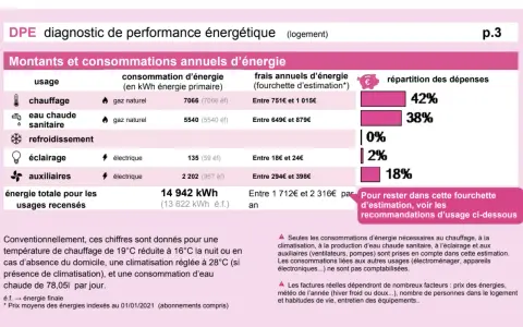 Tableau DPE : consommations annuelles d'énergie (chauffage, eau chaude, etc.) et répartition des dépenses.