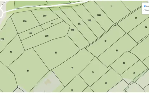 Plan cadastral de Ploërmel montrant des parcelles numérotées comme 2036, 2037, 2039, 2040, 2041, 2066, 2067, 2259, 60, 59, 65, 66, 67, 68, 80, 81, 82, 91, 93, 94, 96, 2753, 2992, 2993, 2 et 37.