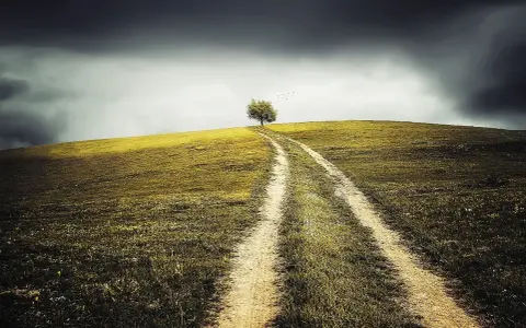 Chemin solitaire vers un arbre isolé sous un ciel orageux. Ce paysage évoque la perte d'un projet, comme un terrain devenu non constructible, et l'attente d'une indemnisation.