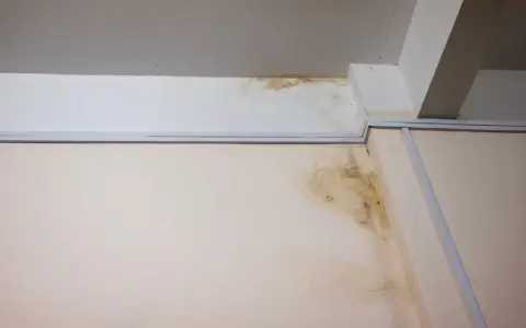 Taches d'humidité sur le mur et le plafond, signe d'un vice caché dans la maison. Le délai pour agir est crucial.