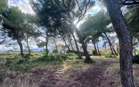 Sentier boisé menant à des maisons, un aperçu de l'urbanisme à Martigues.