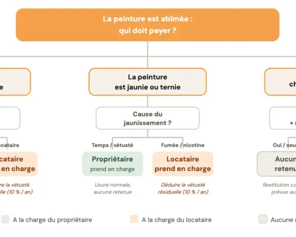 Schéma : peinture abîmée (écaillée, jaunie, changée). Détermine qui paie, en tenant compte de la vétusté après 20 ans de location.