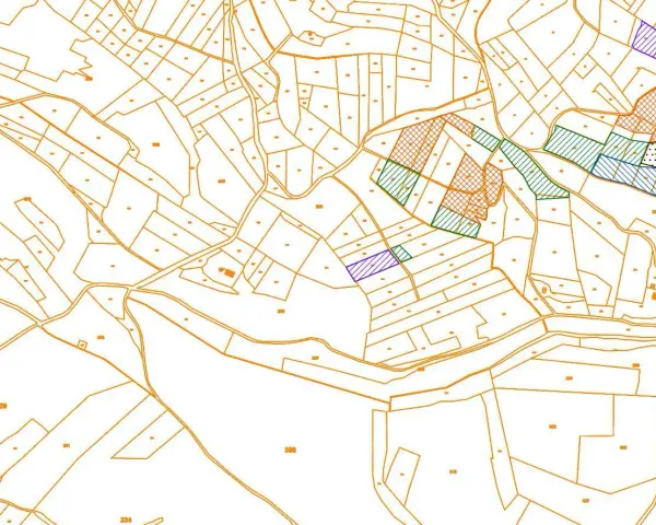 Extrait du cadastre Thiers, une carte topographique divisée en parcelles numérotées, certaines colorées pour indiquer des zones spécifiques.