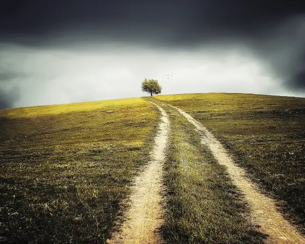 Chemin solitaire vers un arbre isolé sous un ciel orageux. Ce paysage évoque la perte d'un projet, comme un terrain devenu non constructible, et l'attente d'une indemnisation.