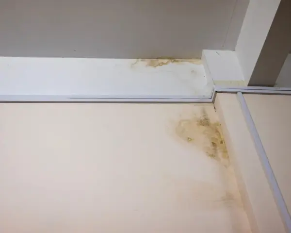 Taches d'humidité sur le mur et le plafond, signe d'un vice caché dans la maison. Le délai pour agir est crucial.