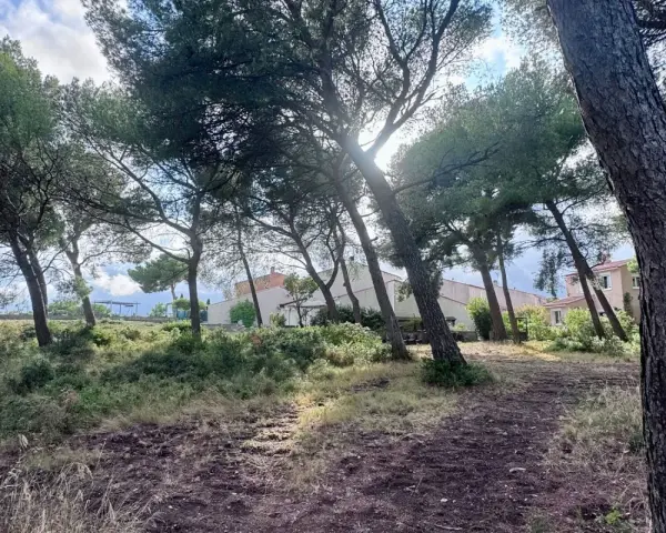 Sentier boisé menant à des maisons, un aperçu de l'urbanisme à Martigues.