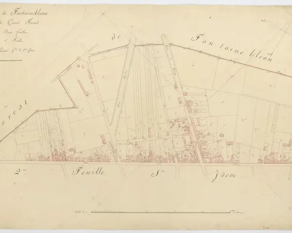 Plan ancien de la ville de Fontainebleau, section du Grand Fief, montrant parcelles et bâtiments. Ce cadastre historique révèle l'organisation du territoire.