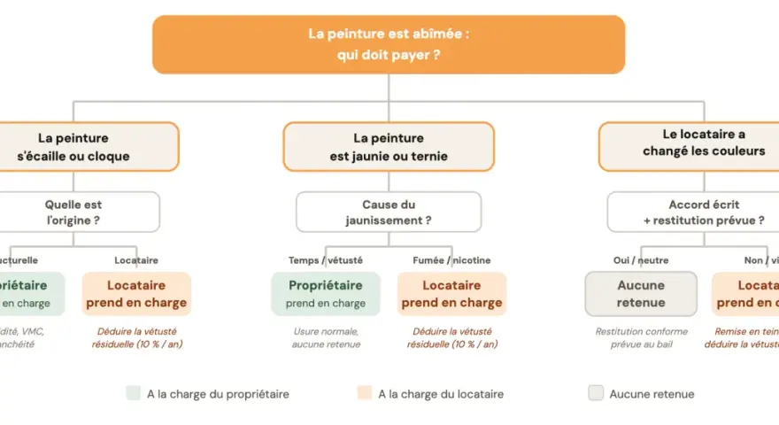Schéma : peinture abîmée (écaillée, jaunie, changée). Détermine qui paie, en tenant compte de la vétusté après 20 ans de location.