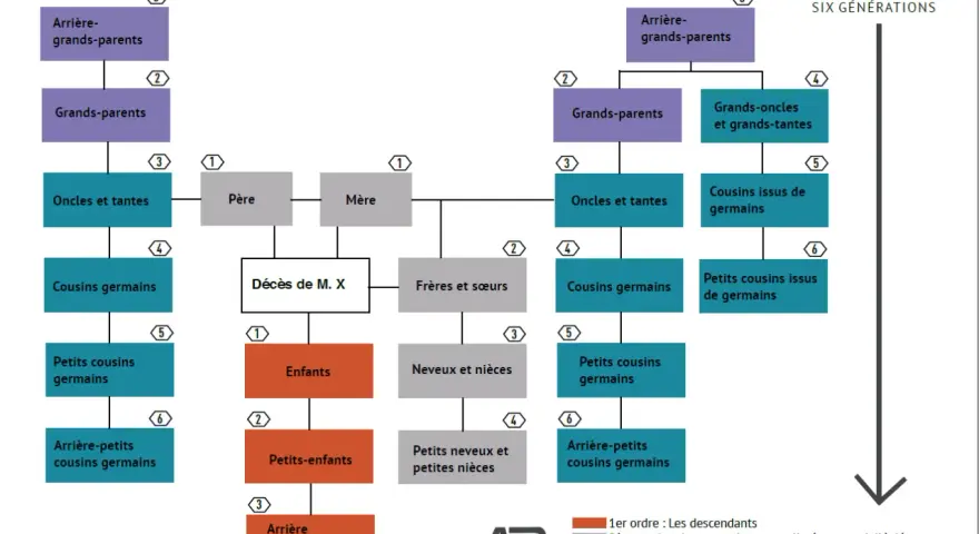 Arbre généalogique illustrant la dévolution légale d'une succession. Il montre les différents ordres d'héritiers, des descendants aux collatéraux, pour contester une succession.