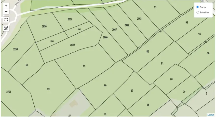 Plan cadastral de Ploërmel montrant des parcelles numérotées comme 2036, 2037, 2039, 2040, 2041, 2066, 2067, 2259, 60, 59, 65, 66, 67, 68, 80, 81, 82, 91, 93, 94, 96, 2753, 2992, 2993, 2 et 37.