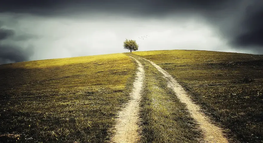 Chemin solitaire vers un arbre isolé sous un ciel orageux. Ce paysage évoque la perte d'un projet, comme un terrain devenu non constructible, et l'attente d'une indemnisation.
