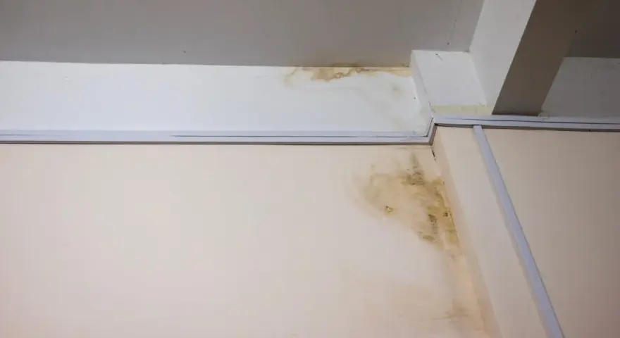 Taches d'humidité sur le mur et le plafond, signe d'un vice caché dans la maison. Le délai pour agir est crucial.