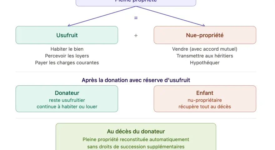 Schéma expliquant la donation simple avec usufruit : la pleine propriété se divise en usufruit (pour le donateur) et nue-propriété (pour l'enfant).