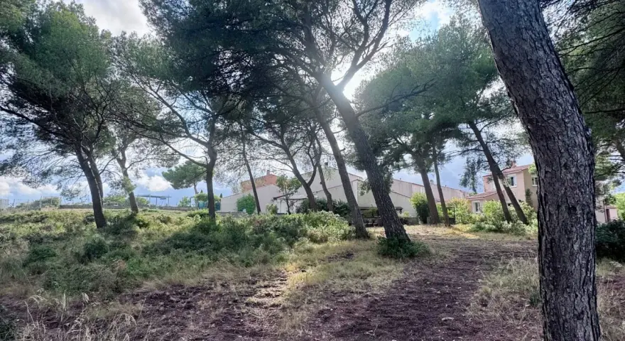 Sentier boisé menant à des maisons, un aperçu de l'urbanisme à Martigues.
