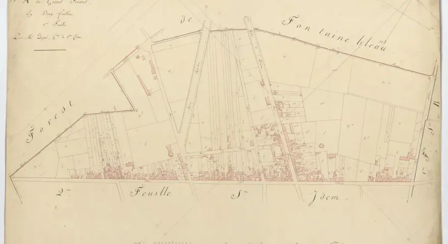 Plan ancien de la ville de Fontainebleau, section du Grand Fief, montrant parcelles et bâtiments. Ce cadastre historique révèle l'organisation du territoire.