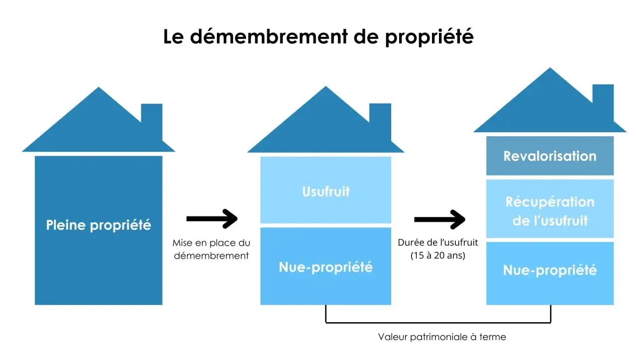 Sch&eacute;ma illustrant le d&eacute;membrement de propri&eacute;t&eacute;, avec pleine propri&eacute;t&eacute;, puis usufruit et nue-propri&eacute;t&eacute;, avant revalorisation et r&eacute;cup&eacute;ration de l'usufruit. La loi Lagleize encadre ces op&eacute;rations.