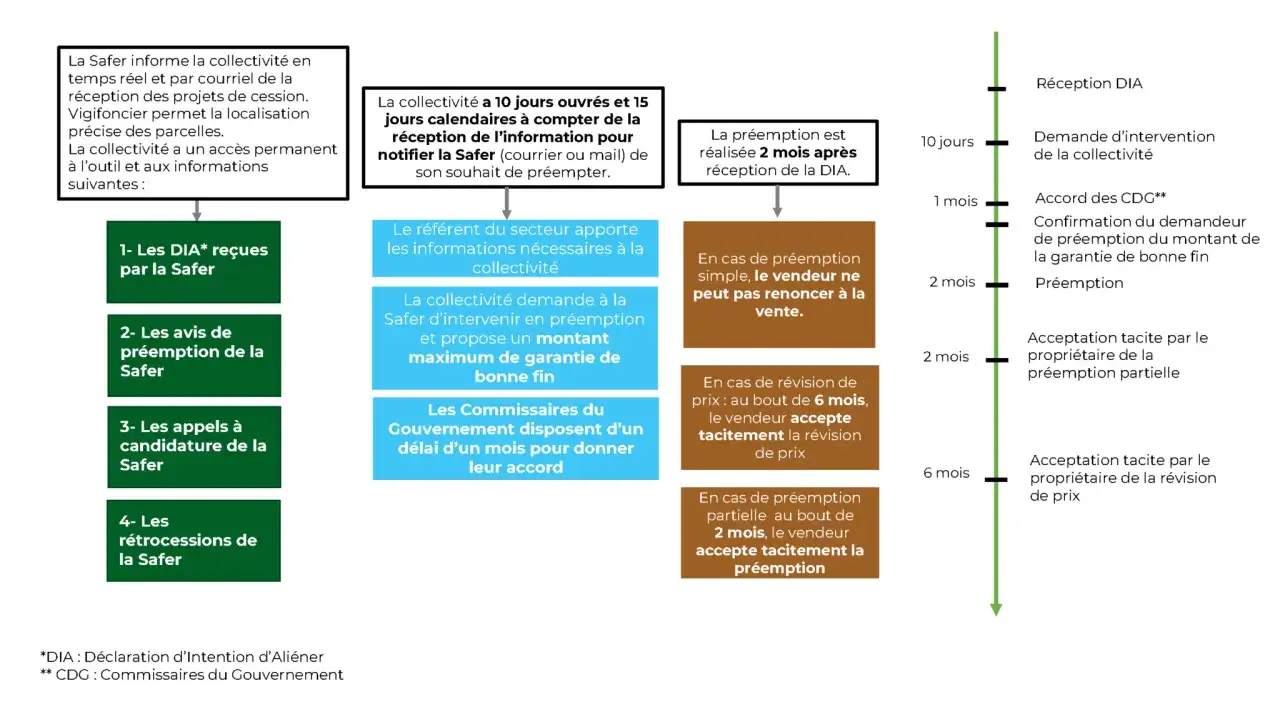 Le processus de préemption par la Safer, avec notification Safer dans les 10 jours, inclut la réception DIA, la demande d'intervention, et l'accord des CDG.