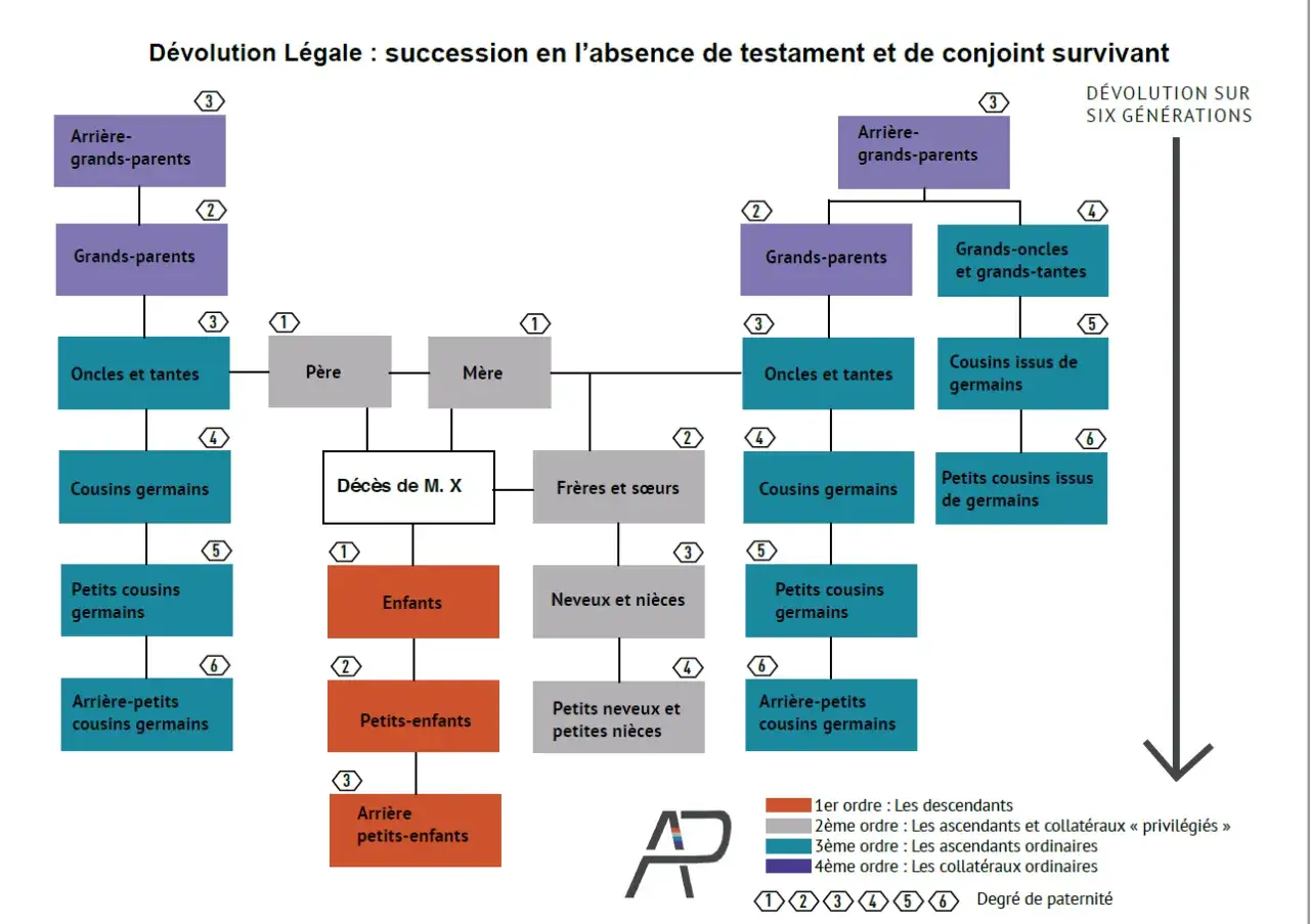 Arbre généalogique montrant la dévolution légale en l'absence de testament. Il détaille les héritiers potentiels, des enfants aux arrière-grands-parents, en passant par les cousins, pour une succession occupant à titre gratuit.